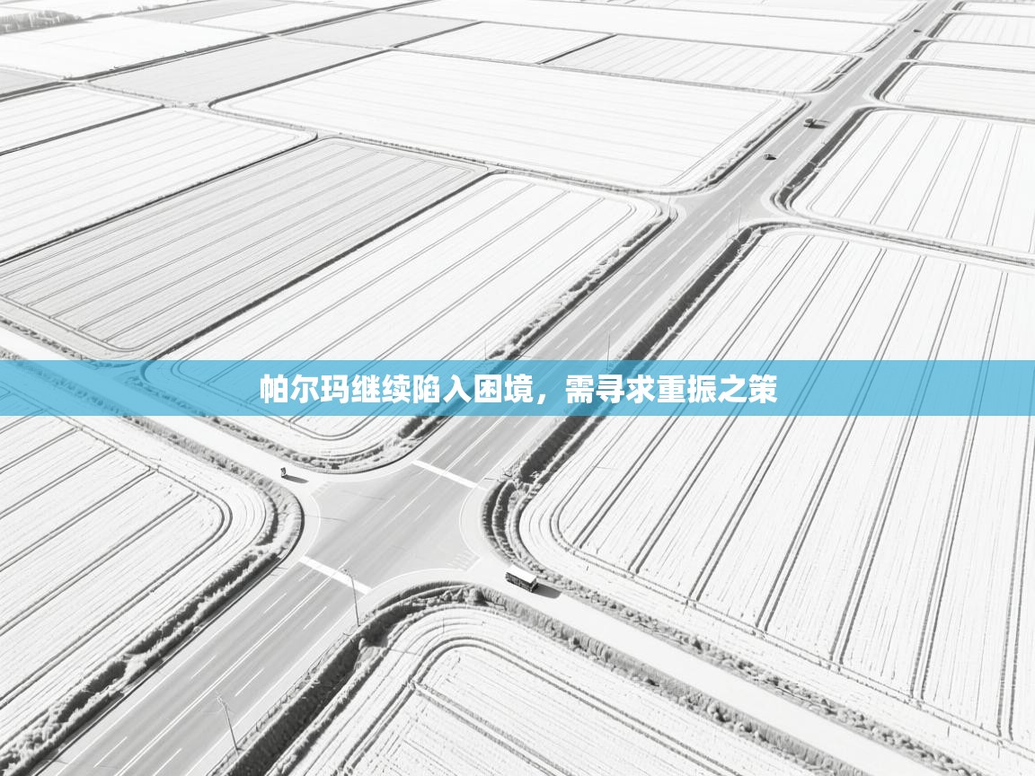 帕尔玛继续陷入困境,需寻求重振之策 第1张